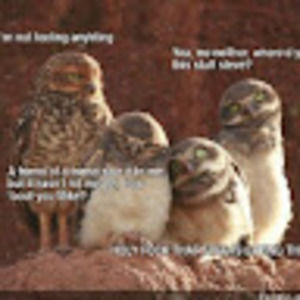 Meet your Posher, Todd